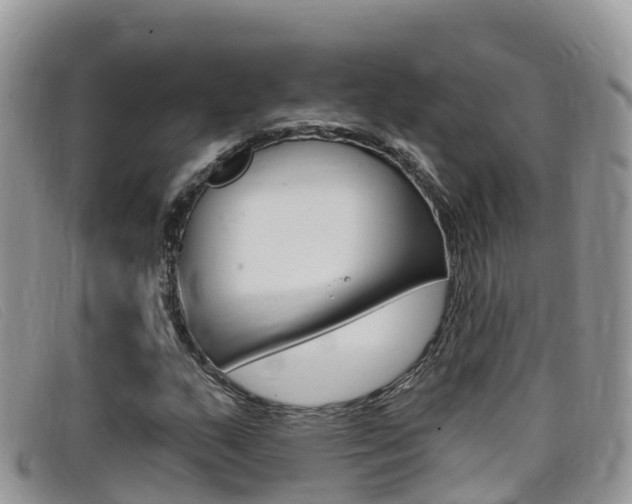 X0000099441159200805090742