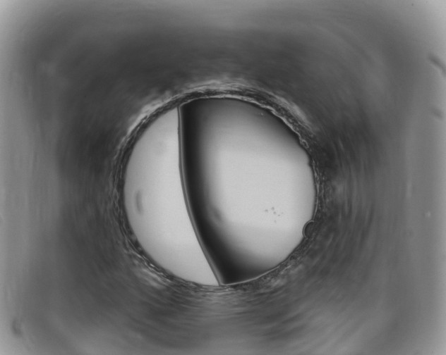 X0000099441160200805090742