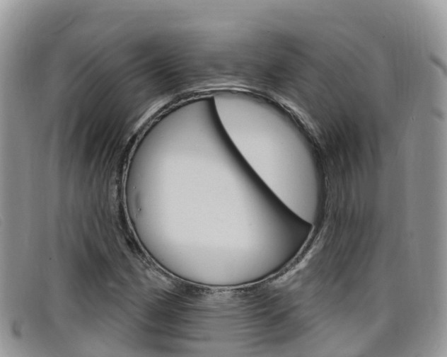 X0000099441162200805090742