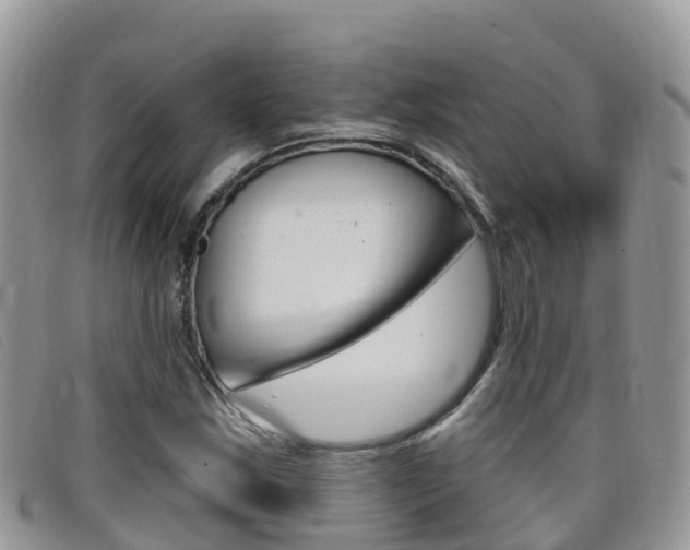 X0000099441163200805090742