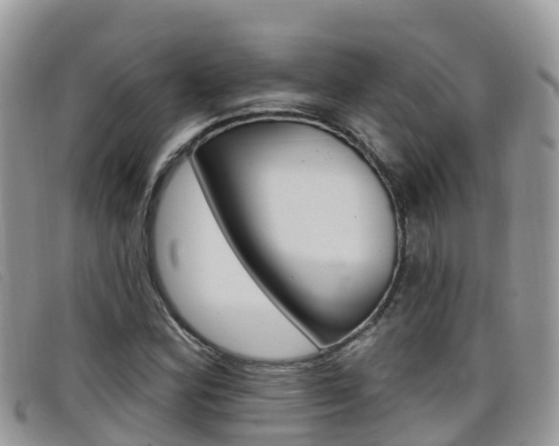 X0000099441164200805090742