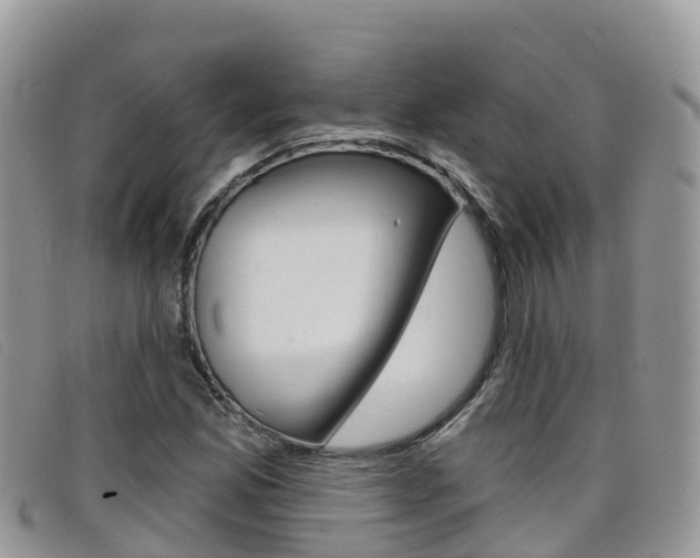 X0000099441165200805090742