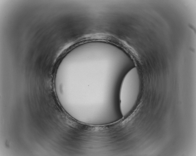 X0000099441166200805090741