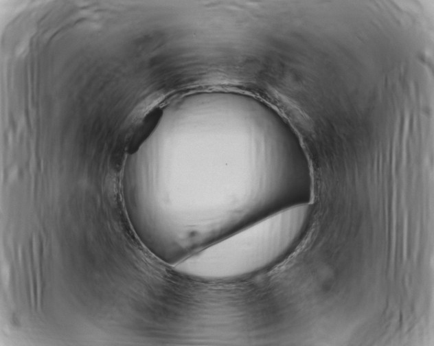 X0000099441169200805090741