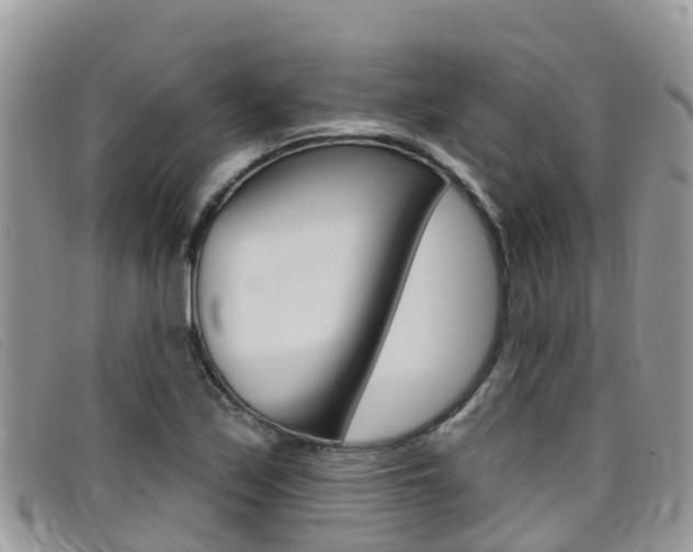 X0000099441171200805090741