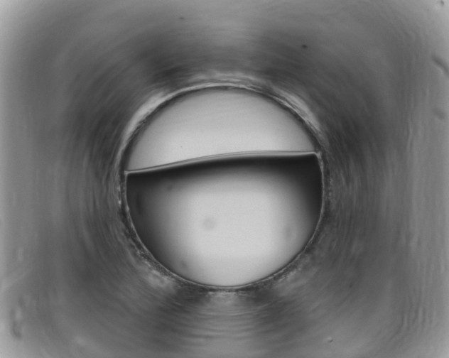 X0000099441172200805090741