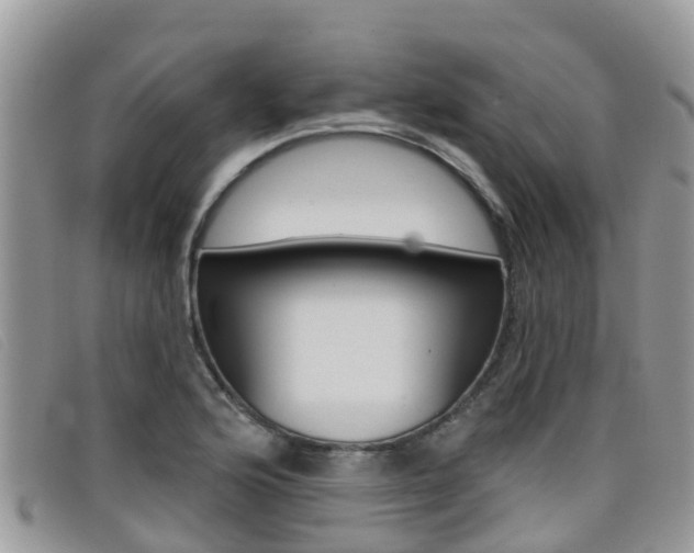 X0000099441176200805090741