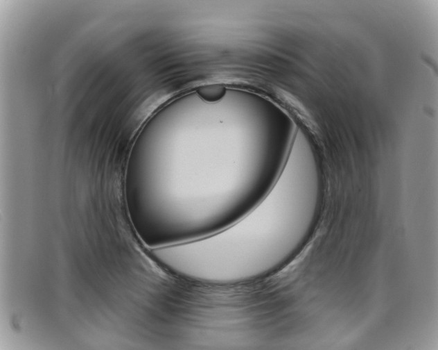 X0000099441177200805090741