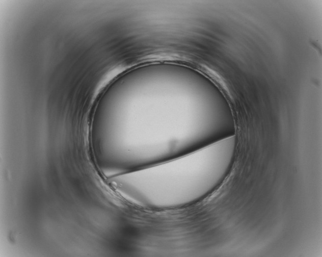 X0000099441179200805090741