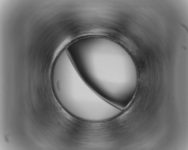X0000099441180200805090741
