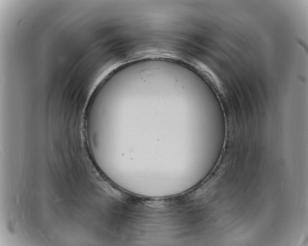 X0000099441182200805090741