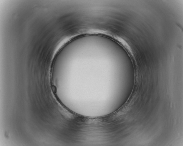 X0000099441183200805090741