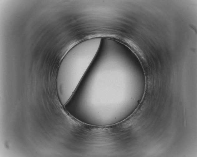 X0000099441185200805090741