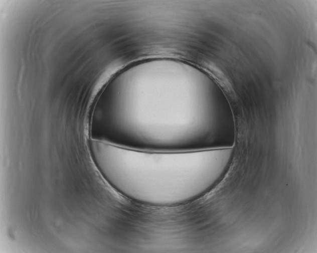 X0000099441188200805090741
