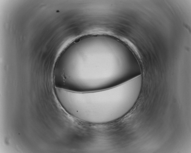 X0000099441191200805090741