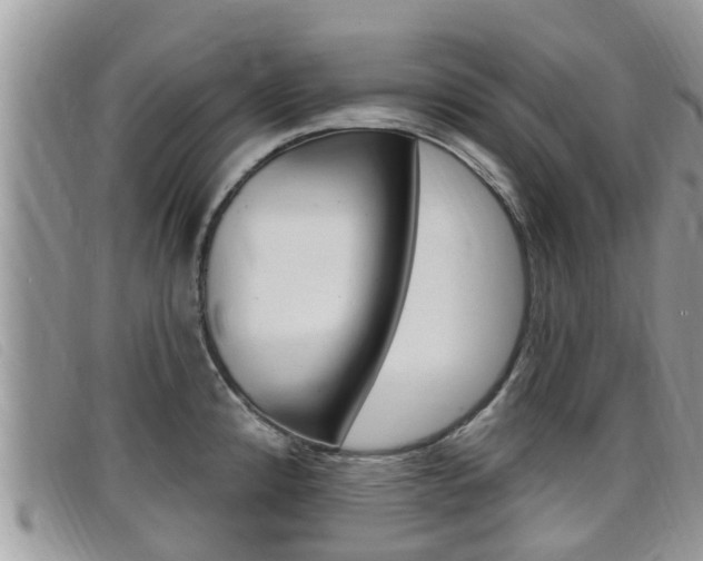 X0000099441192200805090741