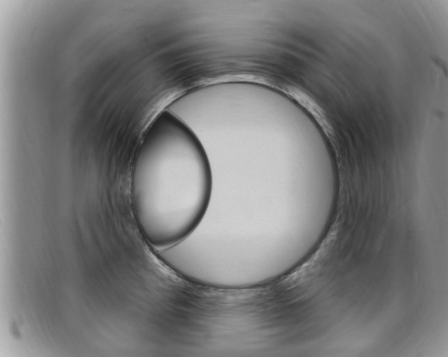X0000099441193200805090741