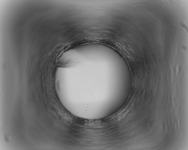X0000099441201200805090740
