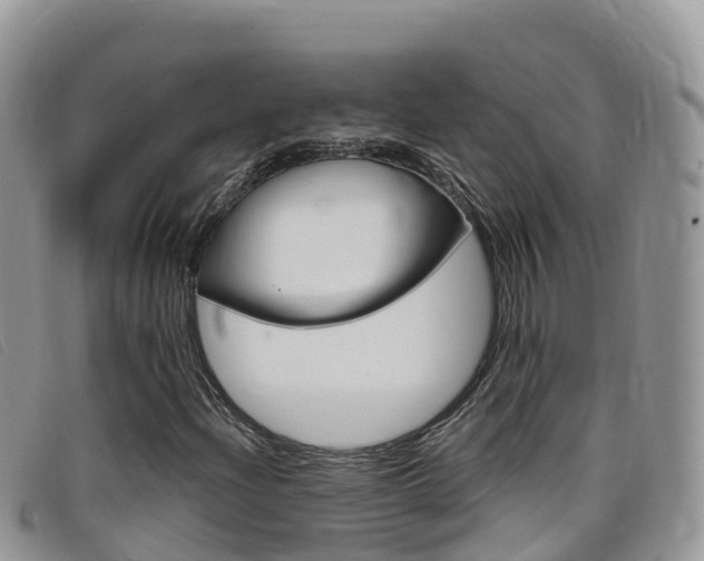X0000099441204200805090740
