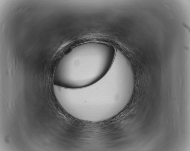 X0000099441206200805090740