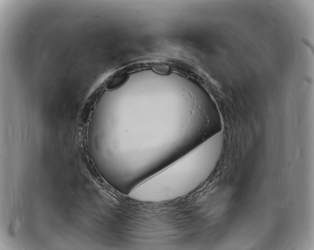 X0000099441208200805090740