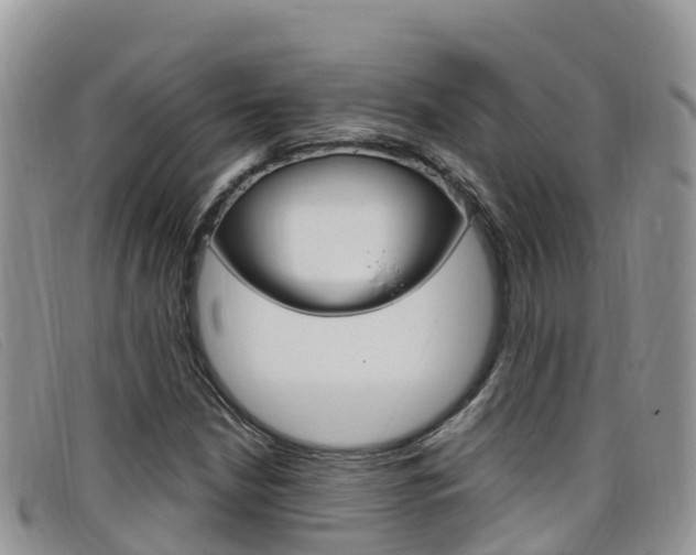 X0000099441210200805090740