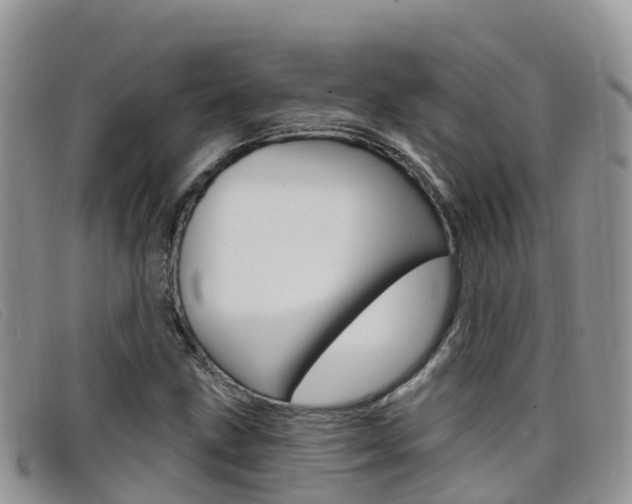 X0000099441211200805090741