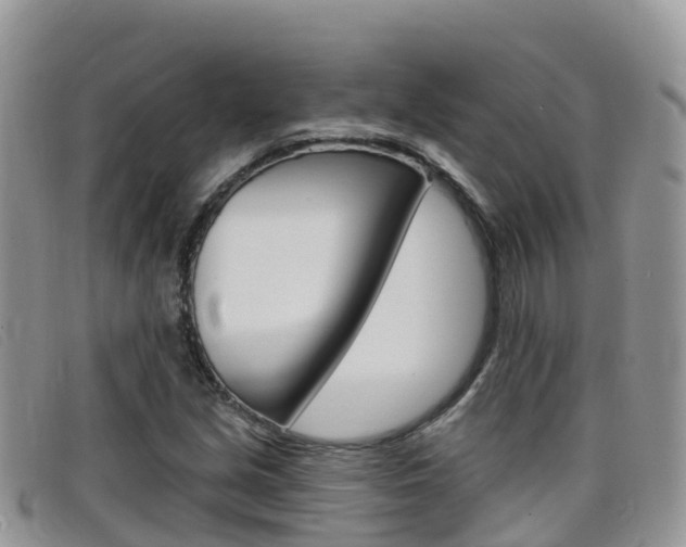 X0000099441213200805090741