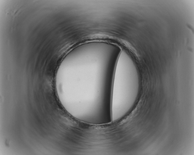 X0000099441217200805090741
