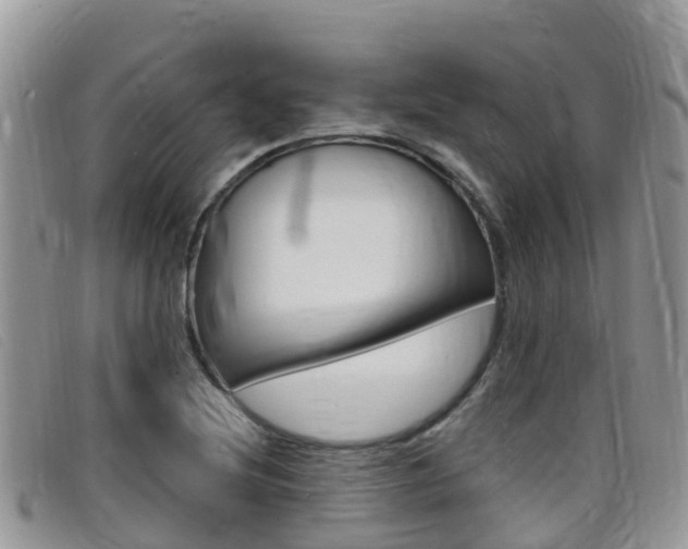 X0000099441220200805090741