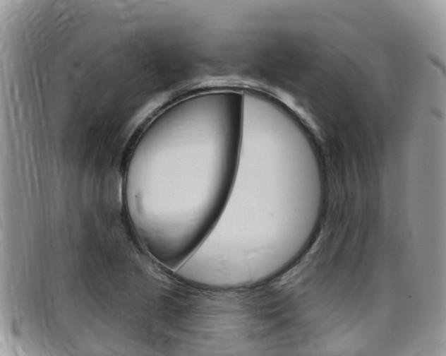 X0000099441221200805090741