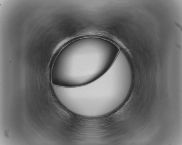 X0000099441222200805090741
