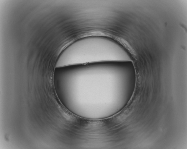 X0000099441225200805090741