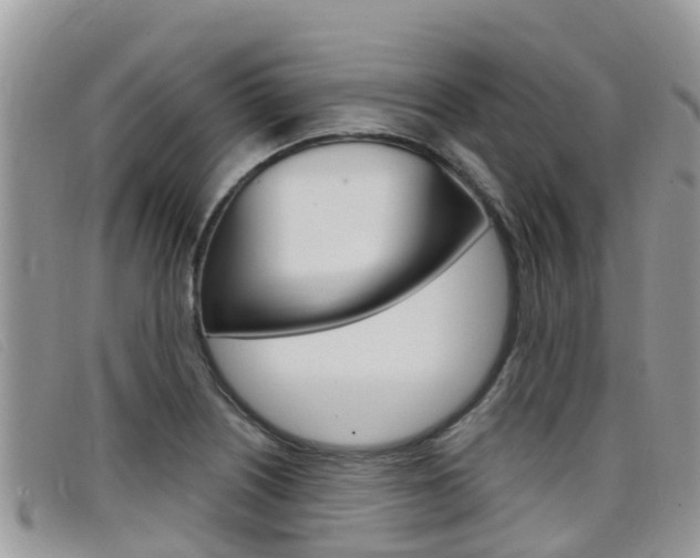 X0000099441226200805090741