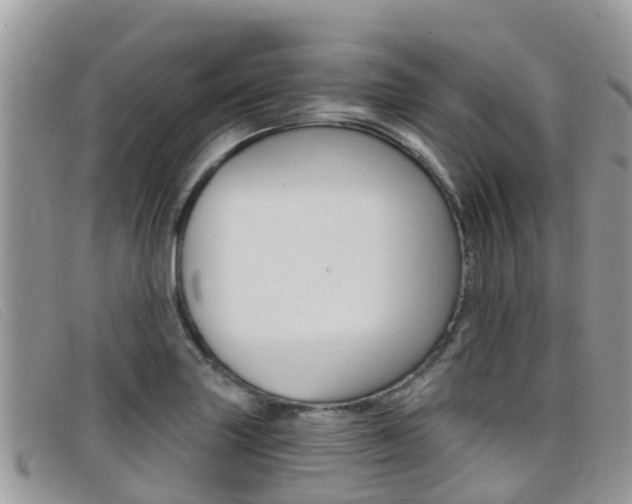 X0000099441227200805090741