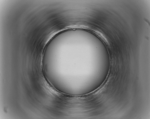 X0000099441228200805090741