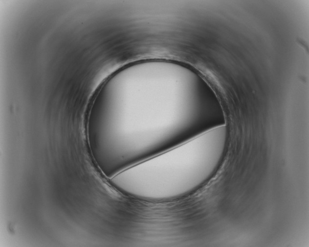 X0000099441230200805090741