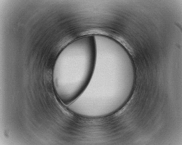 X0000099441233200805090741