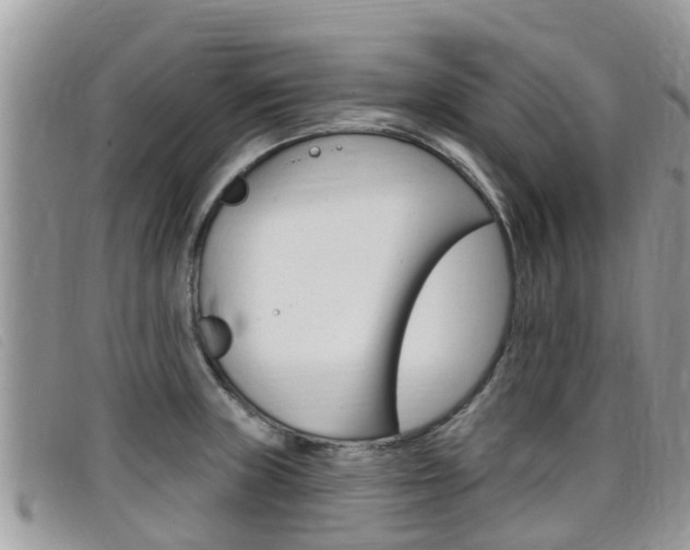 X0000099441235200805090741