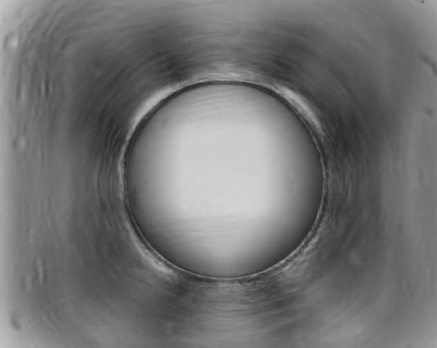X0000099441238200805090741