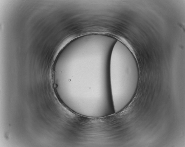 X0000099441243200805090741