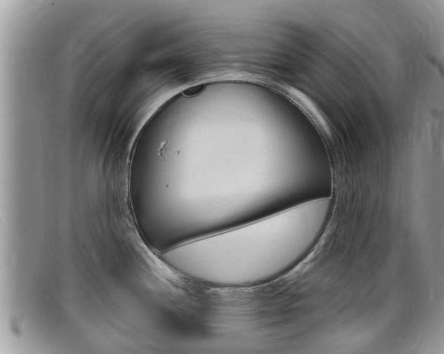 X0000099441244200805090741