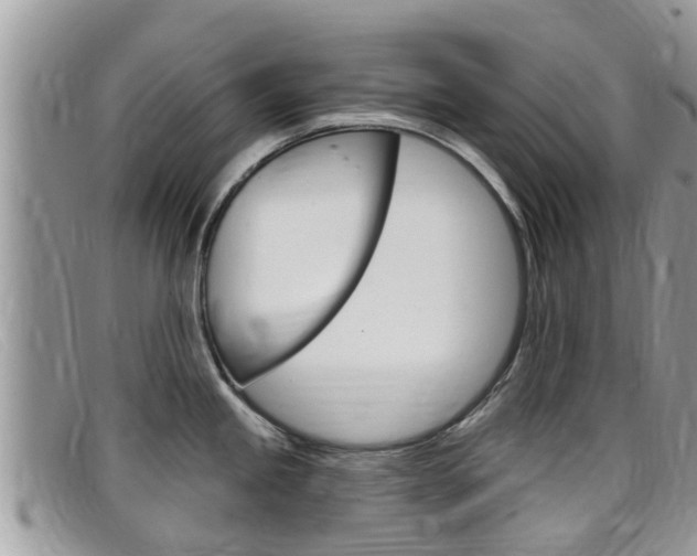 X0000099441245200805090741