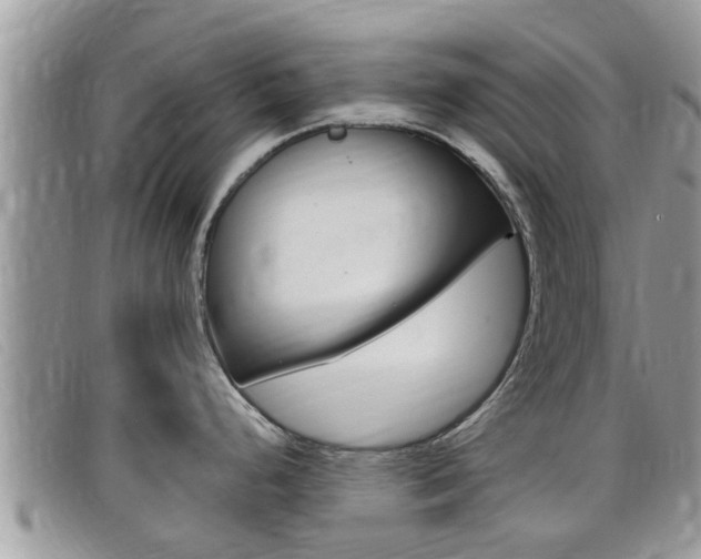 X0000099441248200805090741