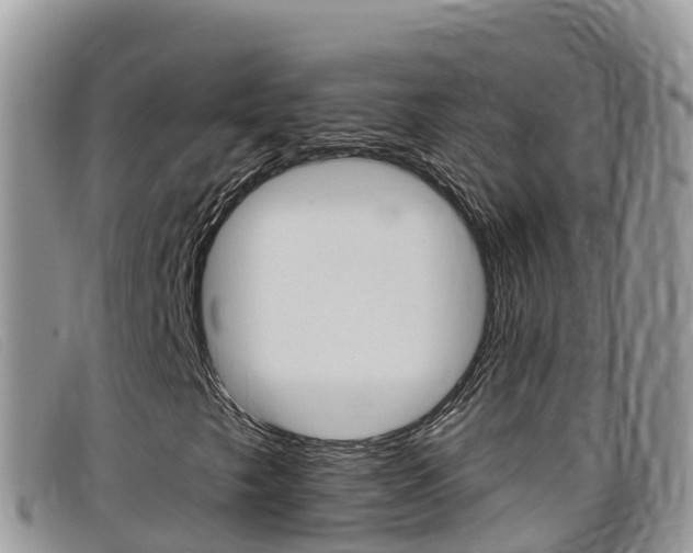 X0000099441249200805090740