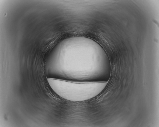 X0000099441250200805090740