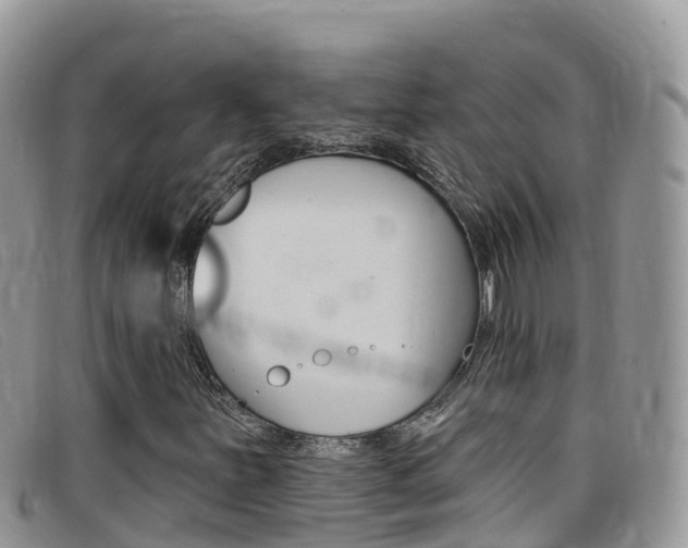 X0000099441251200805090740