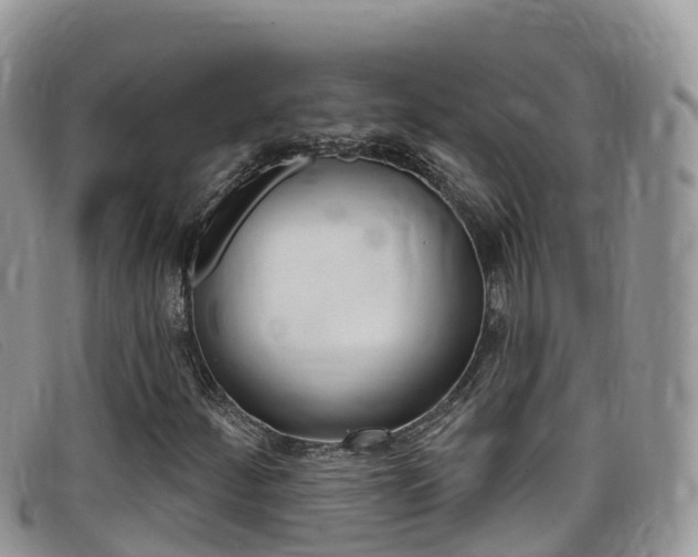 X0000099441252200805090740