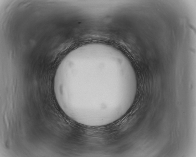 X0000099441253200805090740