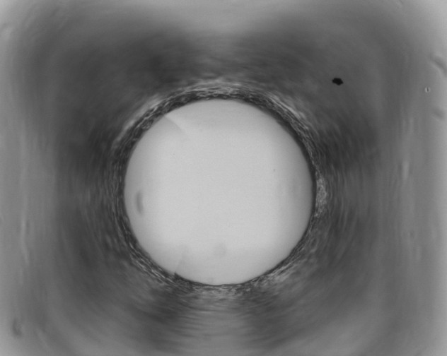 X0000099441254200805090740